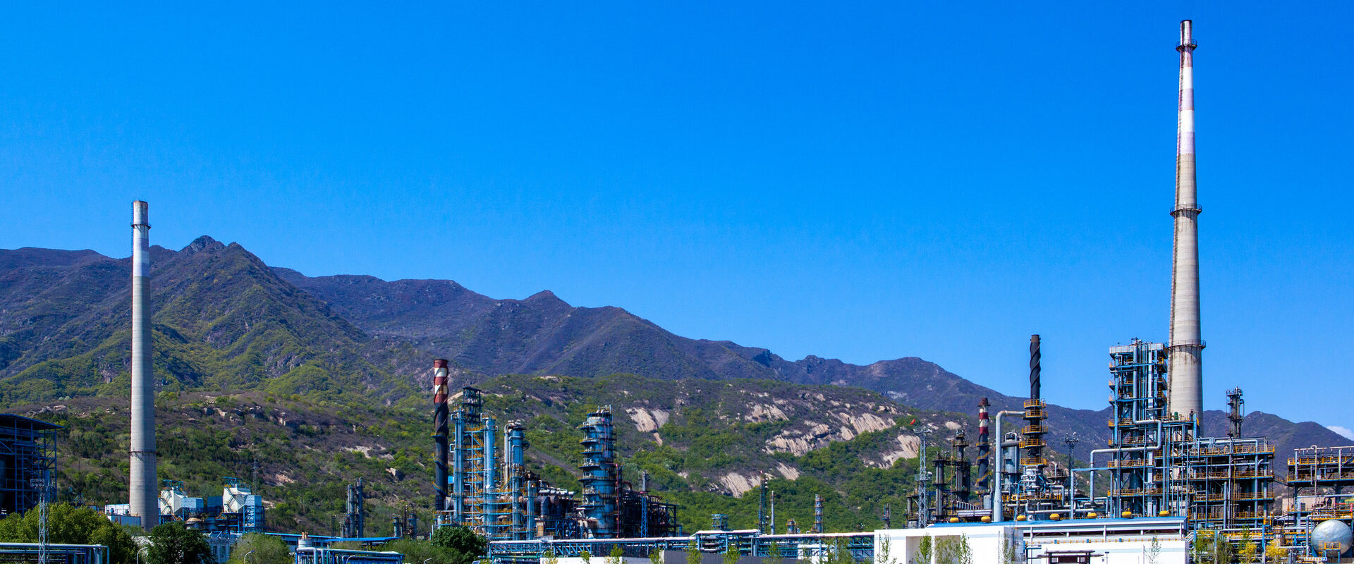 Expertise, Quality and Innovation